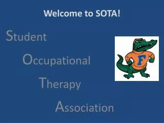 Welcome to SOTA!