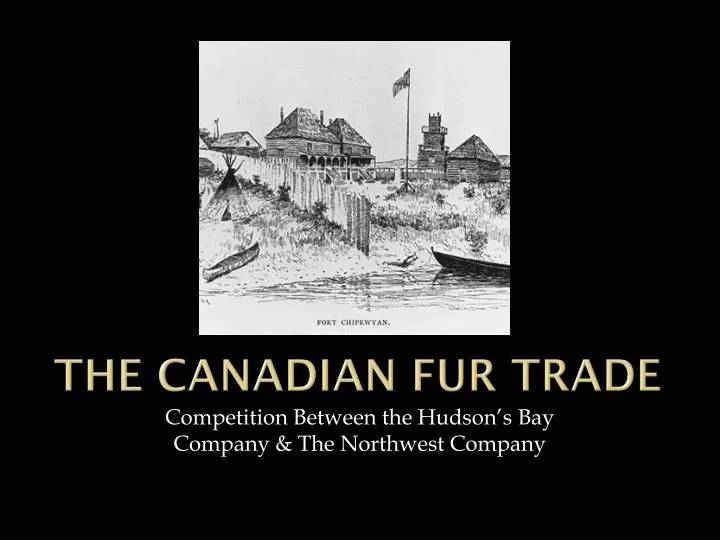 the canadian fur trade