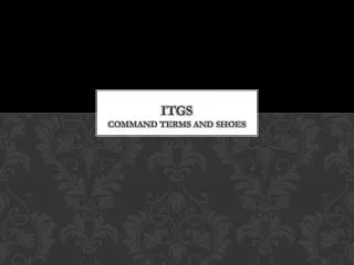 ITGS COMMAND TERMS and shoes