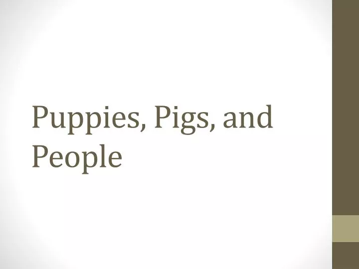 puppies pigs and people
