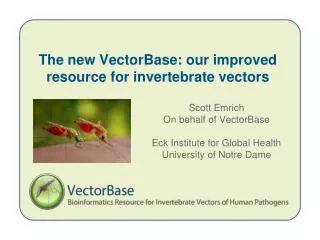 The new VectorBase: our improved resource for invertebrate vectors