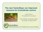 The new VectorBase: our improved resource for invertebrate vectors - slide 1