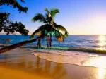 Paradise - slide 1