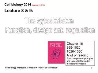 The cytoskeleton Function, design and regulation