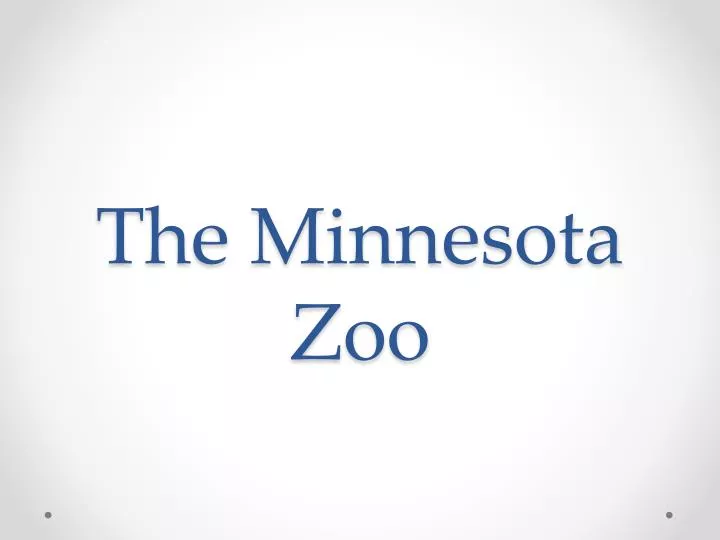 the minnesota zoo