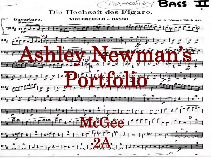 ashley newman s portfolio