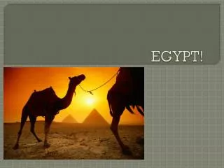 EGYPT!
