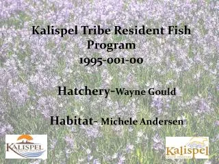 Kalispel Tribe Resident Fish Program 1995-001-00 Hatchery - Wayne Gould Habitat- Michele Andersen