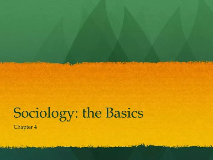 sociology the basics