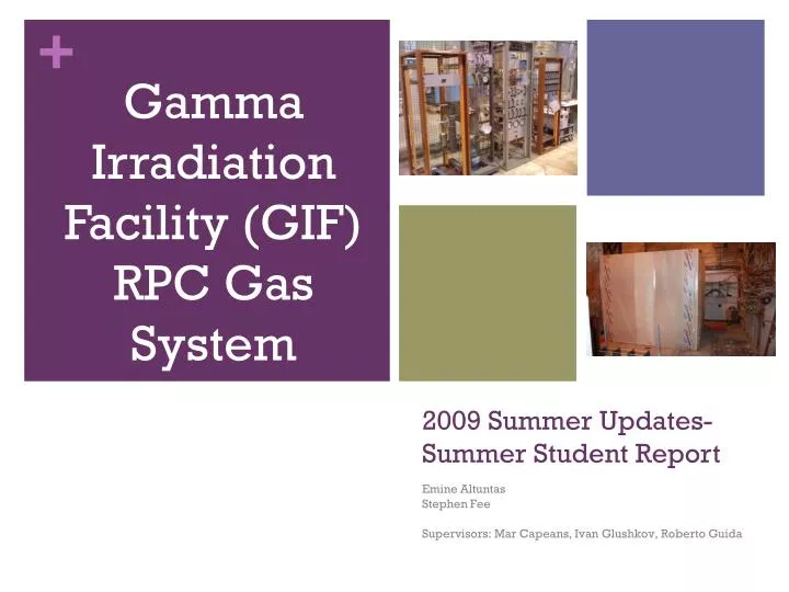 2009 summer updates summer student report
