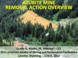 AZURITE MINE REMOVAL ACTION OVERVIEW