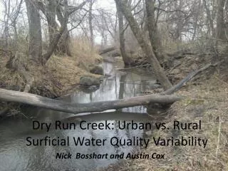 Dry Run Creek: Urban vs. Rural Surficial Water Quality Variability
