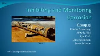 Inhibiting and Monitoring Corrosion