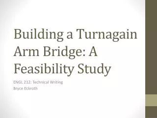 Building a Turnagain Arm Bridge: A Feasibility Study