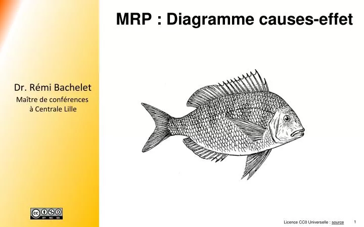 mrp diagramme causes effet