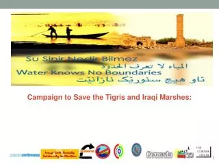 Campaign to Save the Tigris and Iraqi Marshes: