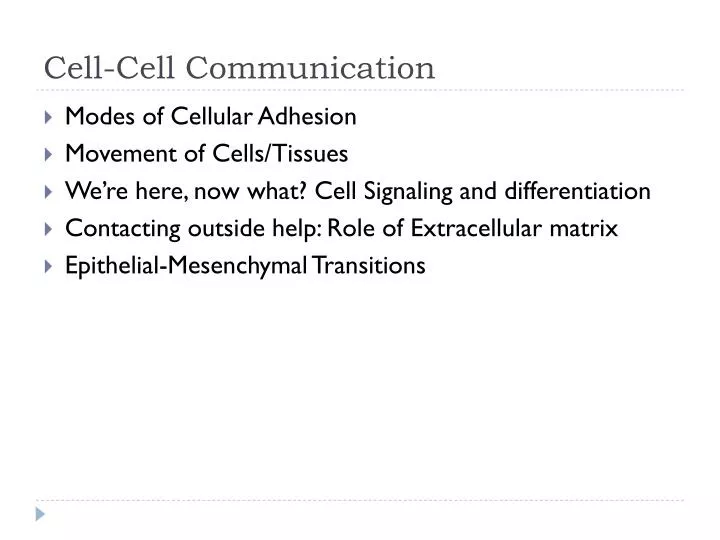 cell cell communication