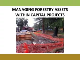 MANAGING FORESTRY ASSETS WITHIN CAPITAL PROJECTS