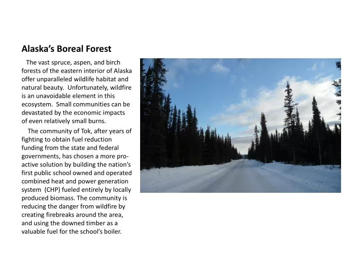 alaska s boreal forest
