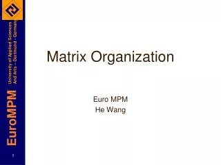 Matrix Organization