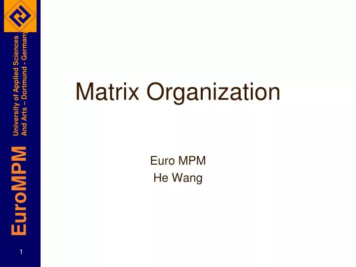 matrix organization