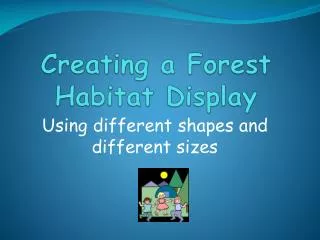 Creating a Forest Habitat Display