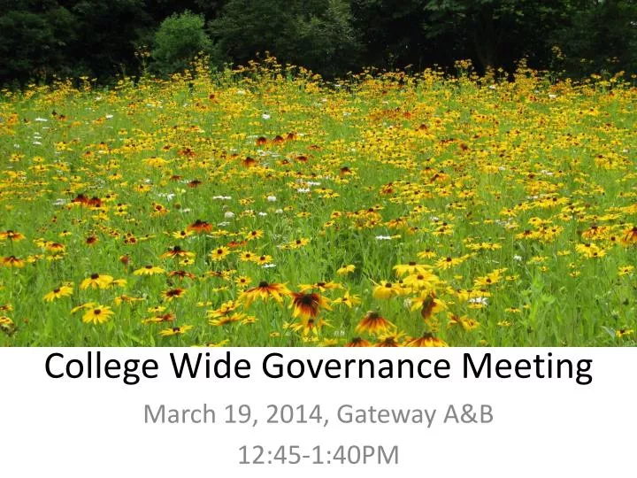 college wide governance meeting