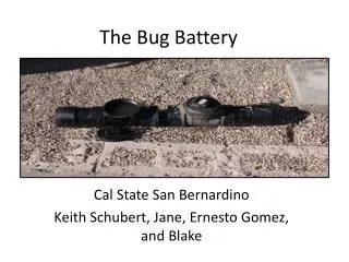 The Bug Battery