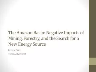 The Amazon Basin: Negative Impacts of Mining, Forestry, and the Search for a New Energy Source