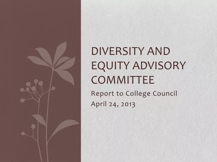 diversity and equity advisory committee