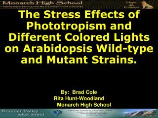 The Stress Effects of Phototropism and Different Colored Lights on Arabidopsis Wild-type and Mutant Strains.