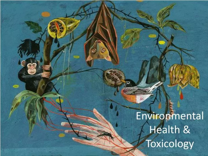 environmental health toxicology