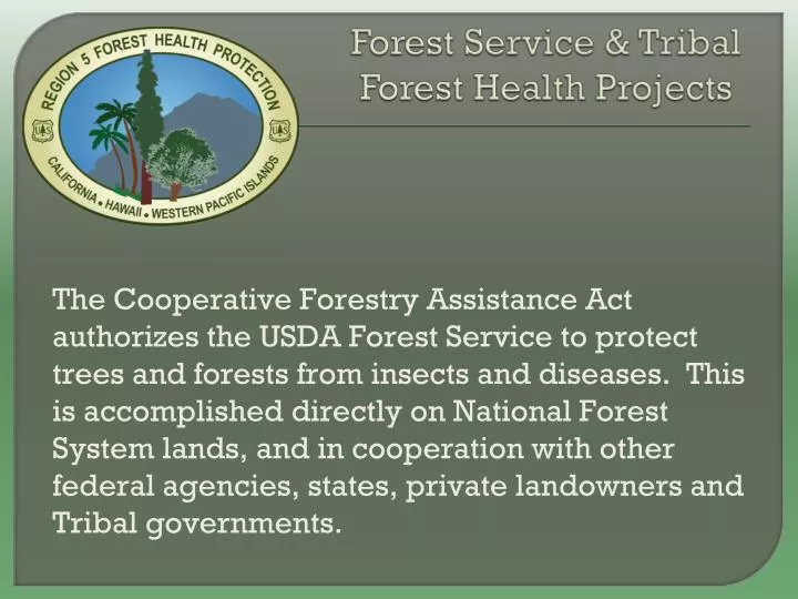forest service tribal forest health projects