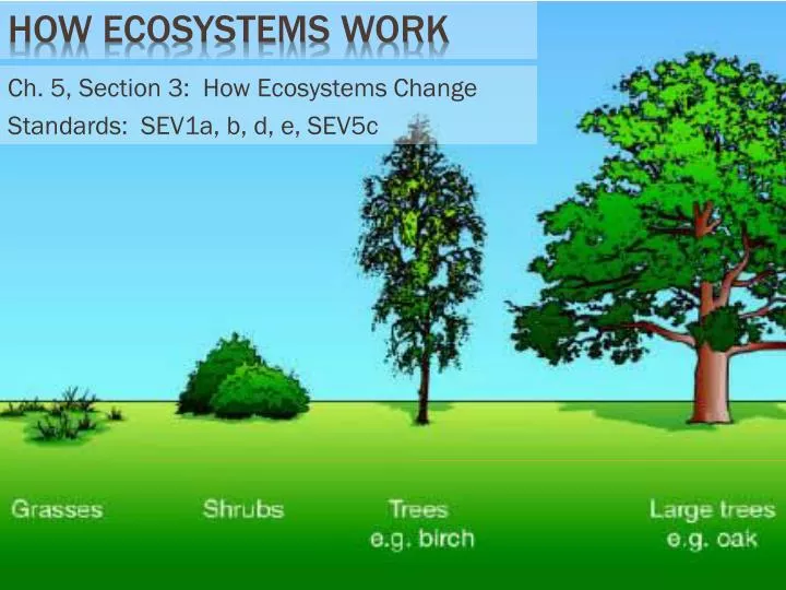 ch 5 section 3 how ecosystems change standards sev1a b d e sev5c