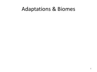 Adaptations &amp; Biomes