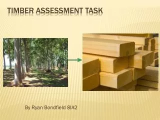 Timber assessment task