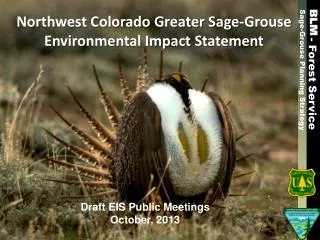 Northwest Colorado Greater Sage-Grouse Environmental Impact Statement