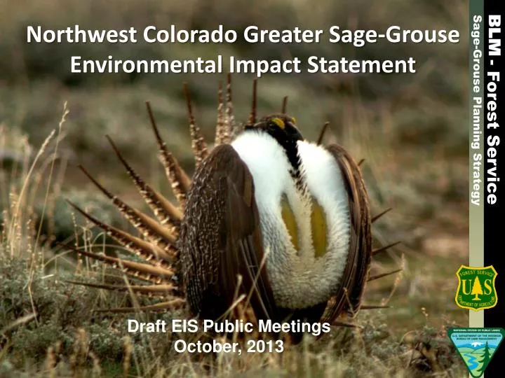 northwest colorado greater sage grouse environmental impact statement