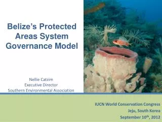 Belize’s Protected Areas System Governance Model