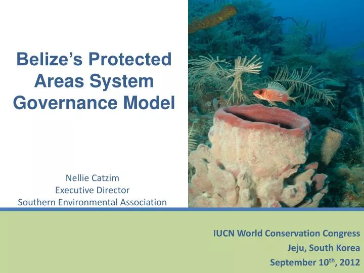 belize s protected areas system governance model