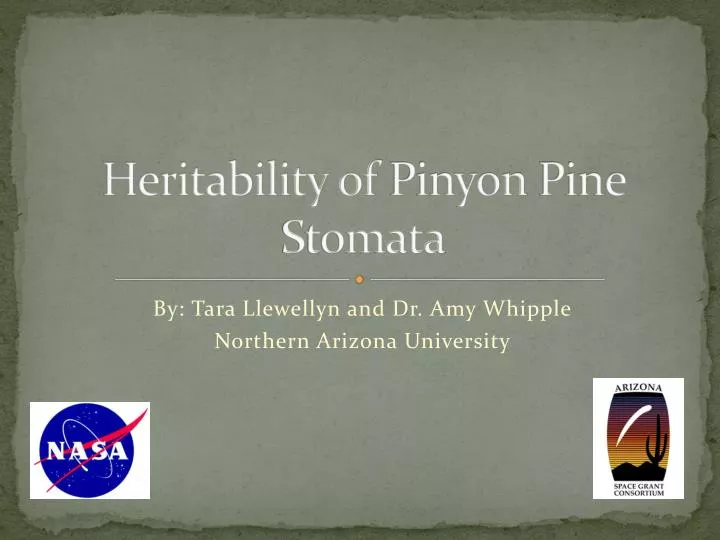 heritability of pinyon pine stomata