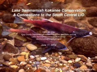 Lake Sammamish Kokanee Conservation &amp; Connections to the South Central LIO David St. John King County Department o