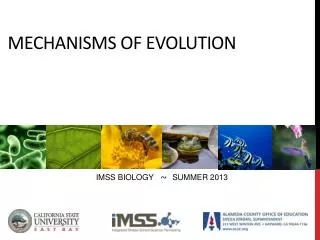 Mechanisms of evolution