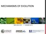 PPT - Mechanisms of Evolution PowerPoint Presentation, free download ...