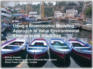 Using a Bioeconomic Modeling Approach to Value Environmental Change in the Black Sea