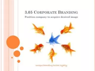 3.05 Corporate Branding