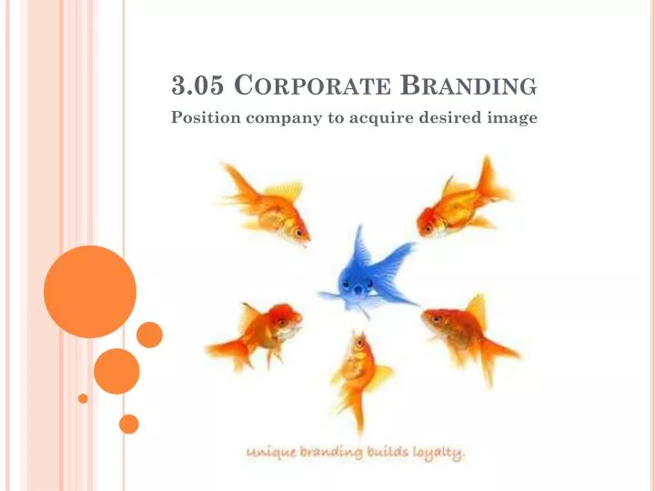 3 05 corporate branding
