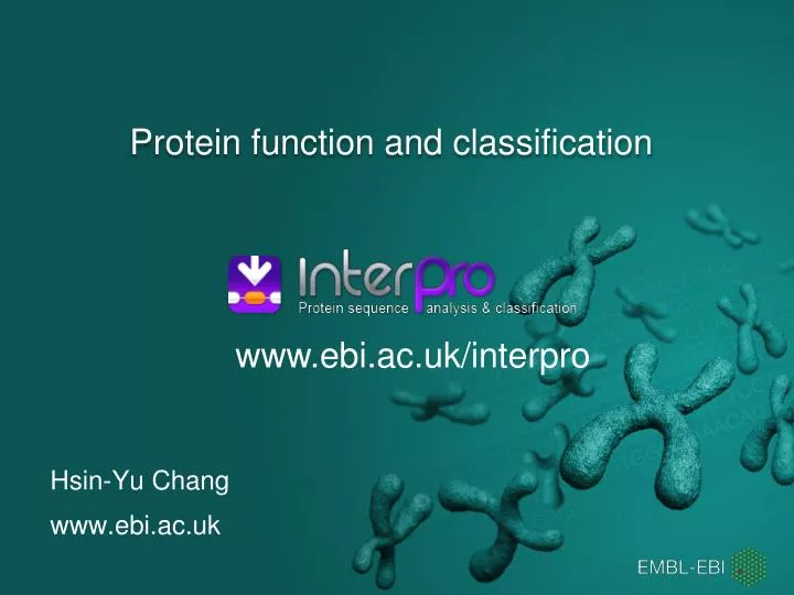 protein function and classification