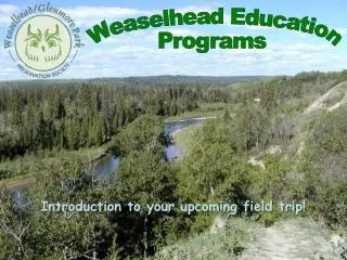 Weaselhead Education Programs