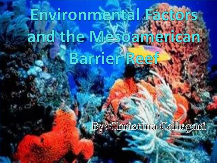 environmental factors and the mesoamerican barrier reef